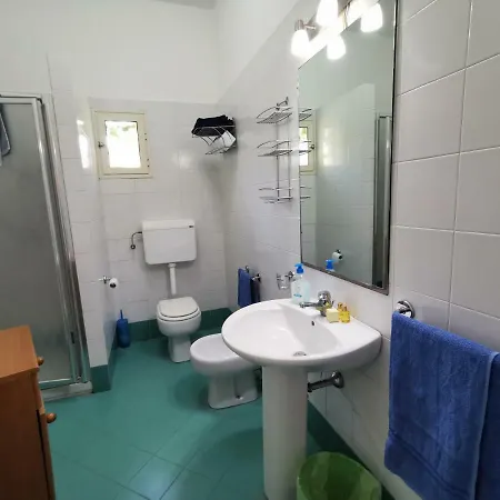 Vista Apartment